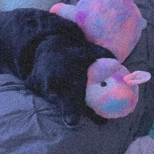 Meet your Posher, Brooklynn